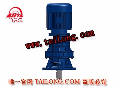BLEY 立式雙級(jí)普通電機(jī)直聯(lián)型擺線針輪減速器（機(jī)）