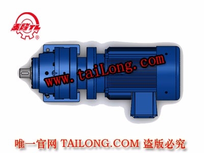 BHWD 臥式單級專用電機直聯型化工部擺線針輪減速器（機）