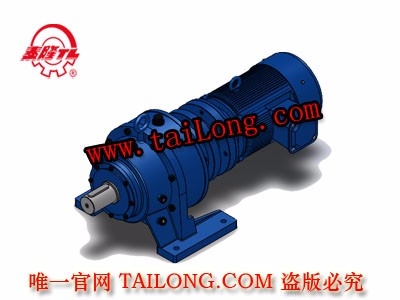 BHWED 臥式雙級專用電機直聯(lián)型化工部擺線針輪減速器（機）
