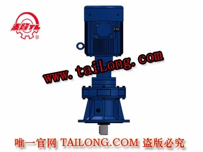 BHLED 立式雙級(jí)專用電機(jī)直聯(lián)型化工部擺線針輪減速器（機(jī)）