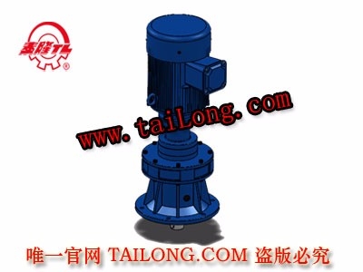BHLED 立式雙級(jí)專用電機(jī)直聯(lián)型化工部擺線針輪減速器（機(jī)）