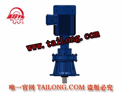 BHLED 立式雙級(jí)專用電機(jī)直聯(lián)型化工部擺線針輪減速器（機(jī)）