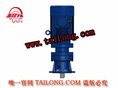 BHLD 立式單級專用電機直聯(lián)型化工部擺線針輪減速器（機）